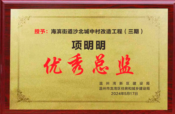 優(yōu)秀總監(jiān)